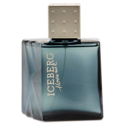 Inspired By ICEBERG