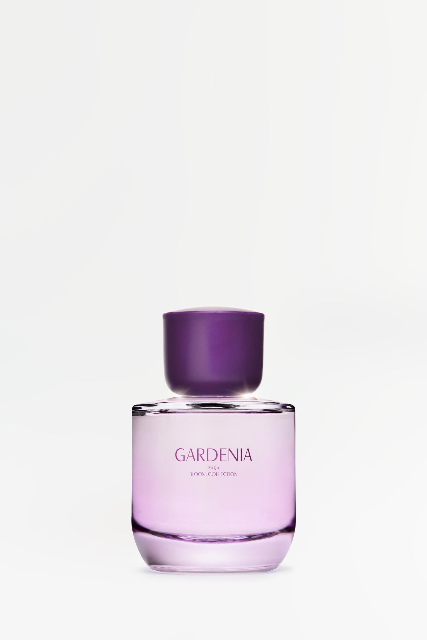Inspired By ZARA GARDENIA