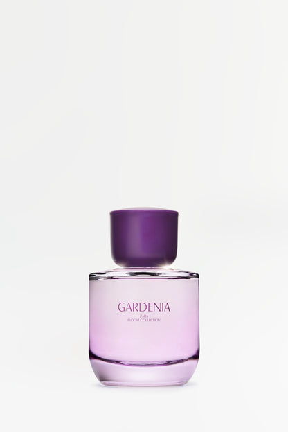 Inspired By ZARA GARDENIA