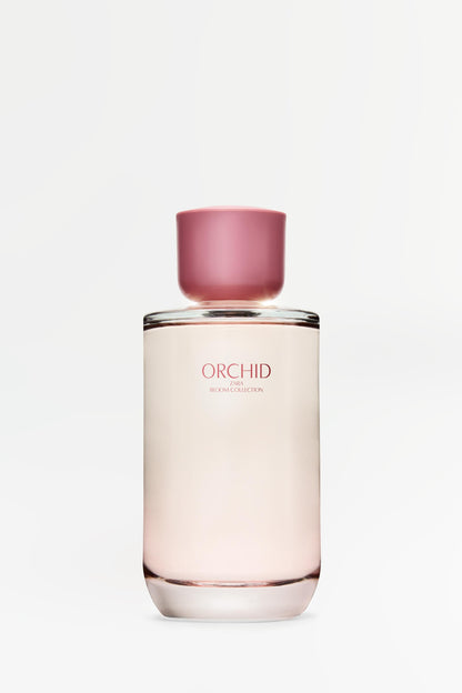 Inspired By ZARA ORCHID