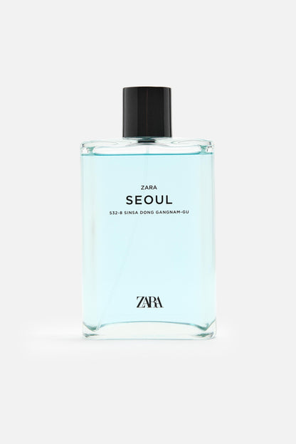 Inspired By ZARA SEOL
